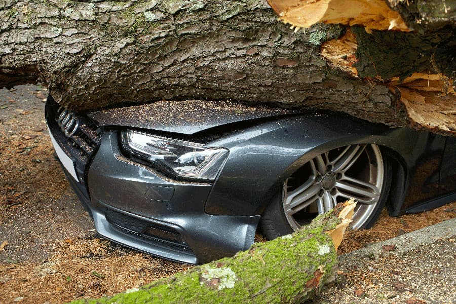 car-crash-call